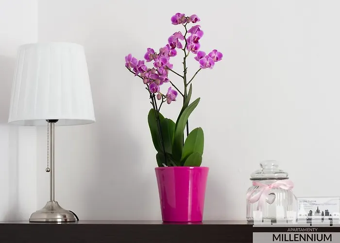 Jm Millennium Union *